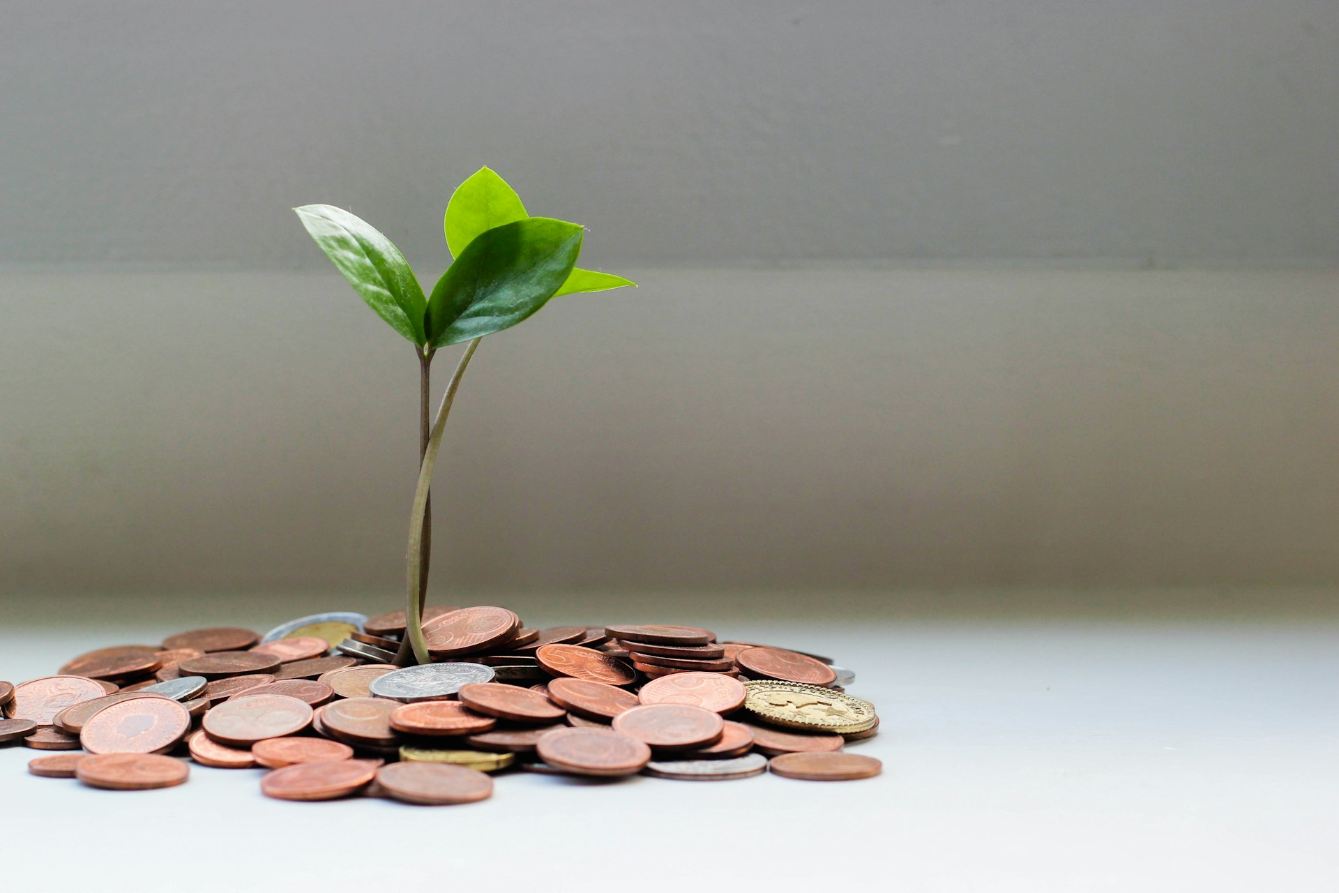Money and financial planning